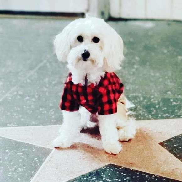 Share 20 ๐ปSharing is Caring๐ป - Picture 9 of 16